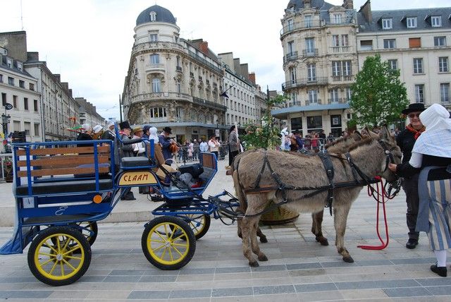 Orelans 8 mai 2014 (20).jpg